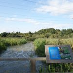 Panneau pédagogique sur les zones humides