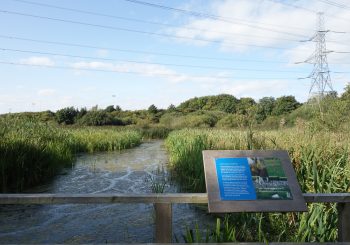 [Sur le terrain #3] Le nucléaire, (in)visibilité dans la vie des écoliers : entretien avec des enseignants de l’école Trumacar, à Heysham (Angleterre)